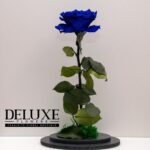 trandafir-criogenat-albastru-xxl-in-cupola-de-stic_2862_1_1515260214.jpg