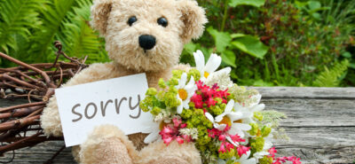 Flori pentru iertare, cele mai bune variante atunci când ne cerem scuze