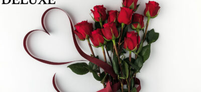 Trandafirii roșii, semnificația, simbolismul și istoria acestor flori